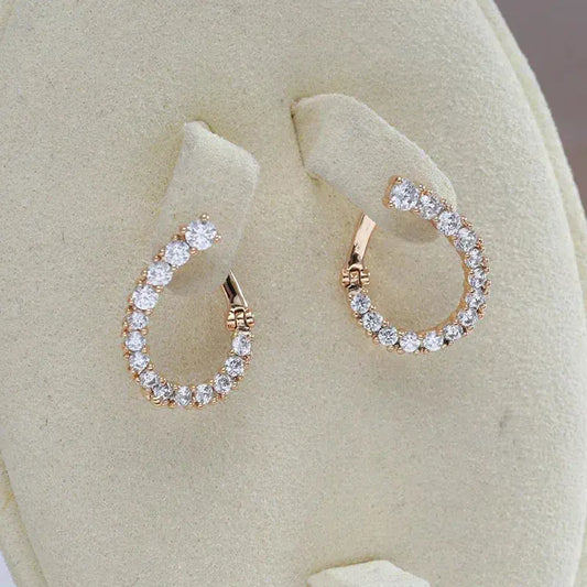 Earrings Brilliant Circle